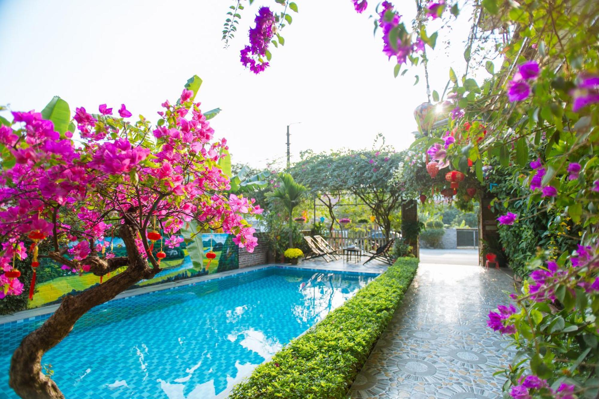 Tam Coc Viet Ha Homestay Ninh Binh Dış mekan fotoğraf